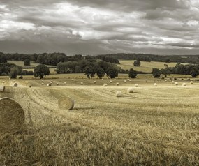 Poszter 60x50cm Szénakazalok a mezőkön 3, Assaf Frank