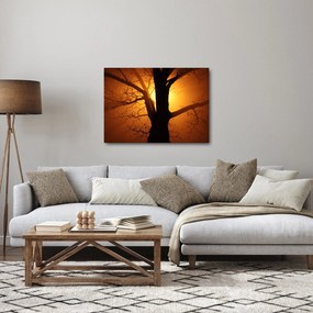 Kép egy fáról naplementekor (70x50 cm)