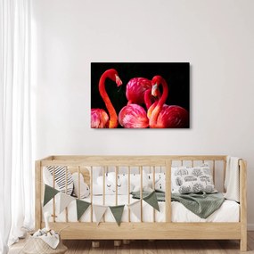 Vörös flamingók képe (90x60 cm)