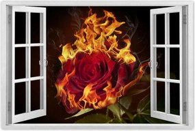 Poszter 60x40 Vörös lángoló rózsa