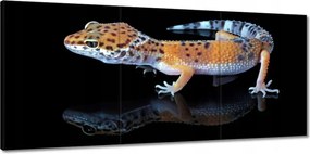 Vászonkép 150x70 Gekkó leopárd hüllők