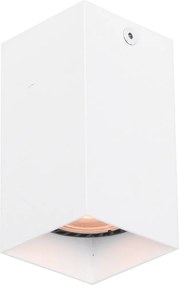 Italux Ander CLN-28394-S-WH Felületi spotlámpa 1x10W/GU10 IP20