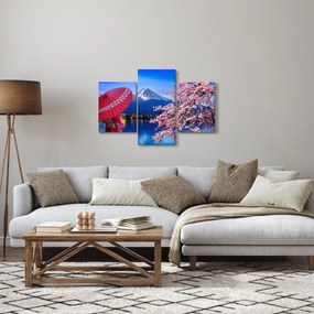 Kép - Kilátás a csúcsra, Japán (90x60 cm)