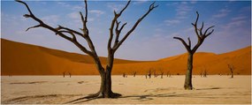 Kép - Halálvölgy (120x50 cm)