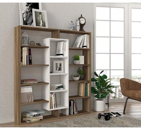 könyvespolc Ample - Walnut, White