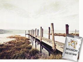 Fotótapéta Flizelina Tájkép Természet Tó Híd Szépia 300x210 ragasztó