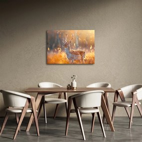 Kép - Szarvas a mezőn (70x50 cm)
