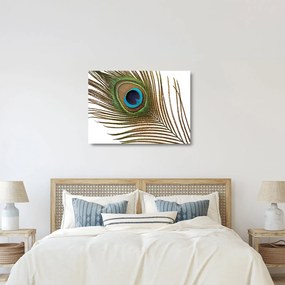 Pávatoll képe (üvegen) (70x50 cm)