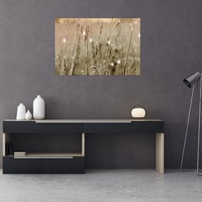 Kép - Harmonikus rét (90x60 cm)