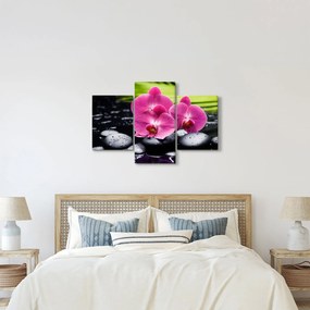 Kép - Rózsaszín orchidea pálmalevéllel (90x60 cm)