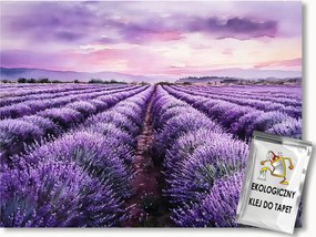 Fotótapéta Flizelina Tájkép Mező Rét Levendula Virágok Lila 104x70,5 ragasztó