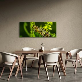 Rovar képe (120x50 cm)