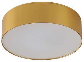 Solari