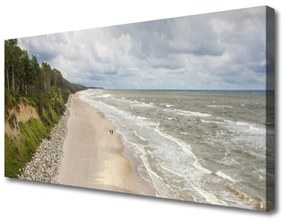 Vászonkép falra Beach Sea Fa Nature 100x50 cm