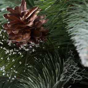 Karácsonyfa Fehér végű erdei fenyő 2D 250 cm