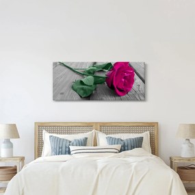 Kép - Rózsaszín rózsa zöld szárral (120x50 cm)