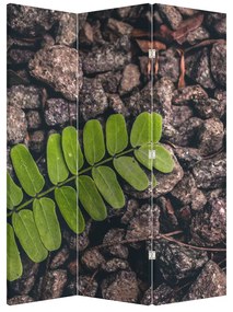 Paraván -  Zöld növények (126x170 cm)