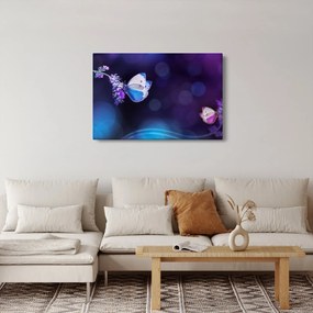 Kép - Pillangók a levendulán (90x60 cm)