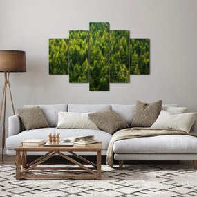 Kép - sűrű erdő (150x105 cm)