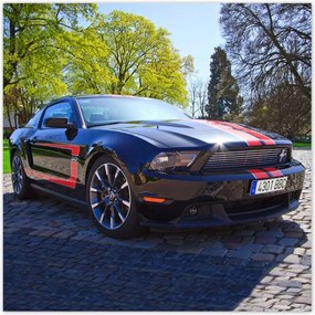 Poszterek 100x100 Ford Mustang Autó