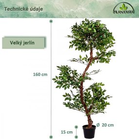 PLANTASIA Műnövény fikusz 160 cm