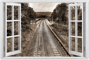 Poszterek 90x60 Tóra szépia fotó