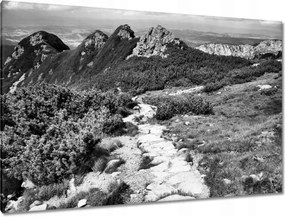 Képek 120x80 Tátra Lengyel hegyek Kilátás