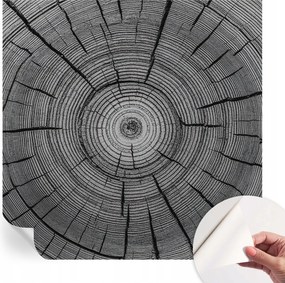 Fotótapéta Fali tapéta Hálószobába és Nappaliba Erdei harmónia 250x250 cm