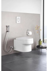 GROHE 27514001 - Kézi bidézuhany TEMPESTA-F ravaszos permetező 30 36 mm króm