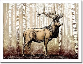 Poszterek keretben 40x30 Szarvas a nyírfaerdőben