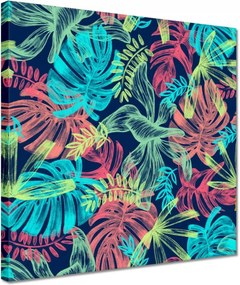 Vászonkép 30x30 Monstera színes levelek