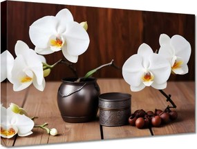 Vászonkép 30x20 Fehér orchideák