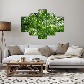 Kép - Kilátás a fák tetejére (150x105 cm)