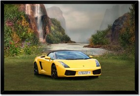 Poszterek keretben 60x40 Ayto a varázslatos réten