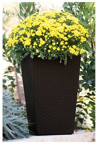 Műanyag kaspó Rattan – Keter