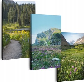 Vászonkép 150 cm **többféle minta** Nappali Képek Triptichon Virágok