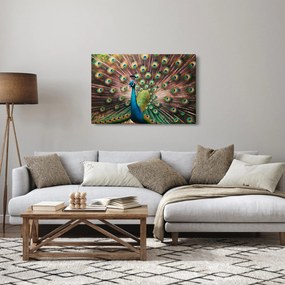 Kép - Páva (90x60 cm)