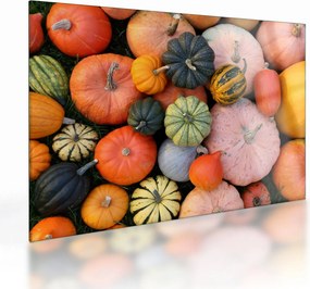 Üveg kép - Tök (70x50 cm)