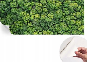 Öntapadós tapéta Divatos 3D fali ragasztóval Erdei panoráma 250x104 cm