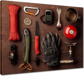 Vászonkép 50x40 Túlélő szett