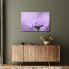 Kép - Ibolya virág (90x60 cm)