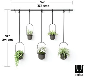 Műanyag kaspó 5 db-os fűszernövényekhez -függő és fali ø 7,5 cm Triflora – Umbra