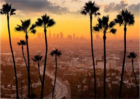 Üveg kép - Los Angeles panorámája (70x50 cm)