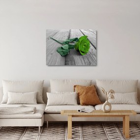Üveg kép - Zöld rózsa (70x50 cm)