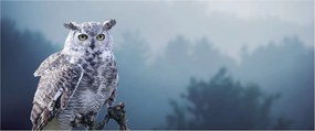 Kép - Hóbagoly (120x50 cm)