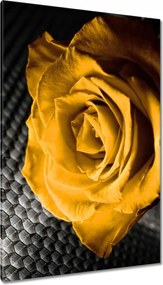 Vászonkép 80x120 Sárga rózsa