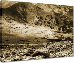 Vászonkép 40x30 Tátra Lengyel hegyek Kilátás