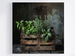 Vászonkép Canvas Konyha Főzés Étel Doboz Gyógynövények 40x40