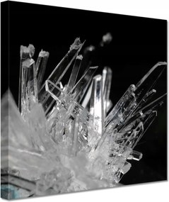 Vászonkép 60x60 Makrofotó MacroFoto