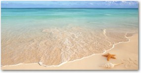 Lacobel Panel Tengeri csillag a tengerparton 140x70 cm Ragasztó